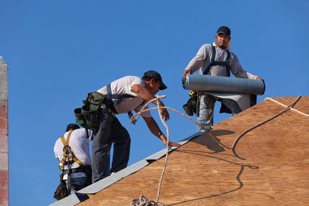 Professional Roofing Contractor in Suamico, WI