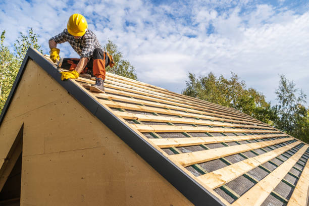Roof Gutter Cleaning in Suamico, WI